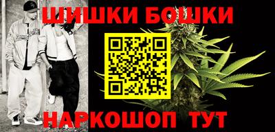 соль ск Можга
